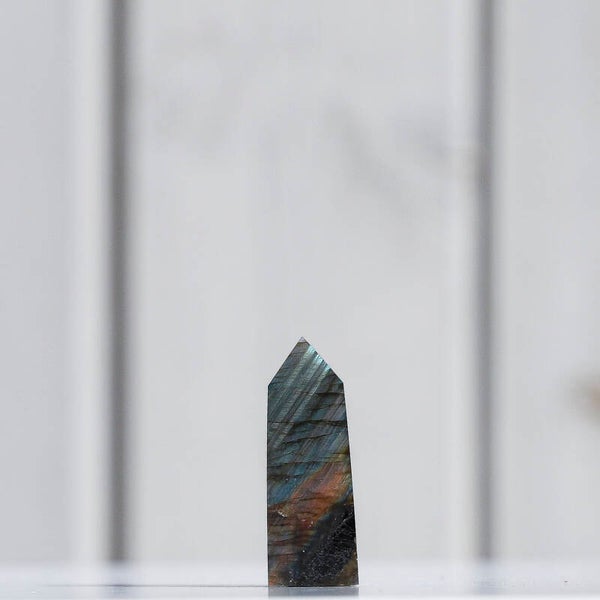 Labradoriet Toren #504