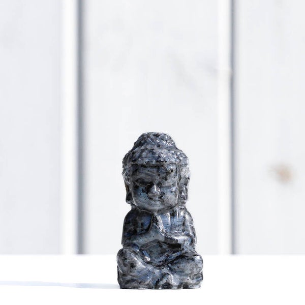 Larvikiet Buddha #722