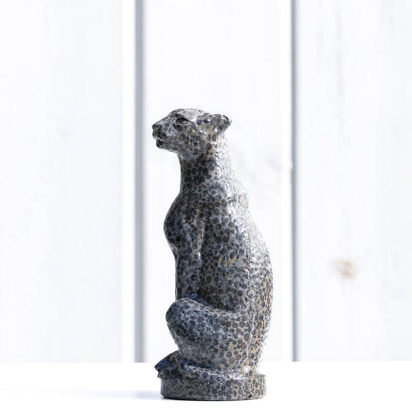 Luipaard Jaspis Luipaard #777