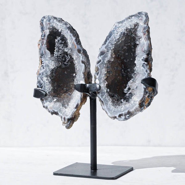 Agaat Vleugels Op Standaard #438b