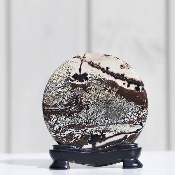 Landschap Jaspis Schijf Op Standaard #294b