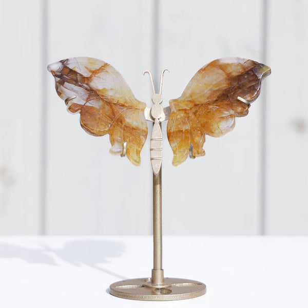 Golden Healer Vlinder #351b