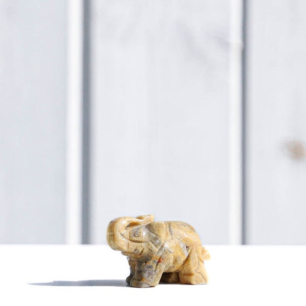 Crazy Lace Olifant #766b