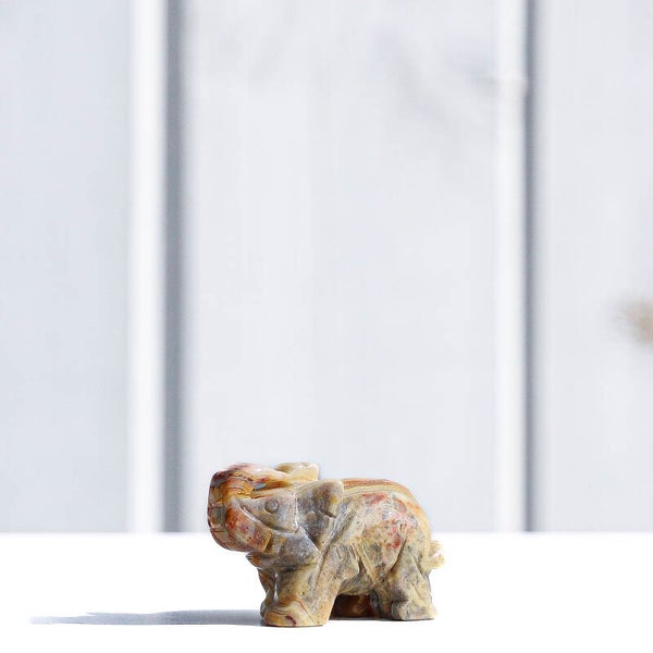 Crazy Lace Olifant #766c