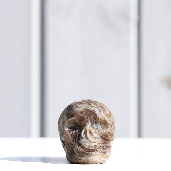 Chocolade Calciet Schedel #775