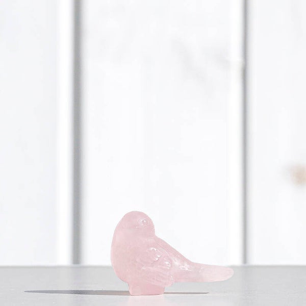 Rozenkwarts Vogel #728