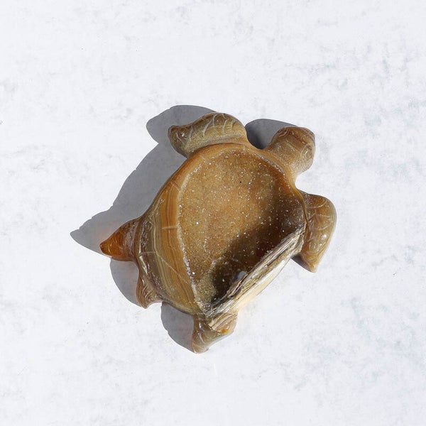 Agaat Schildpad #779e