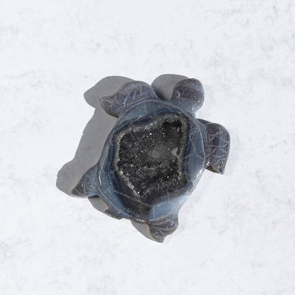 Agaat Schildpad #779b