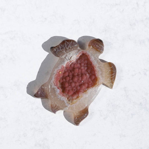 Agaat Schildpad #779c