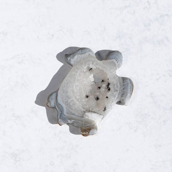 Agaat Schildpad #779d