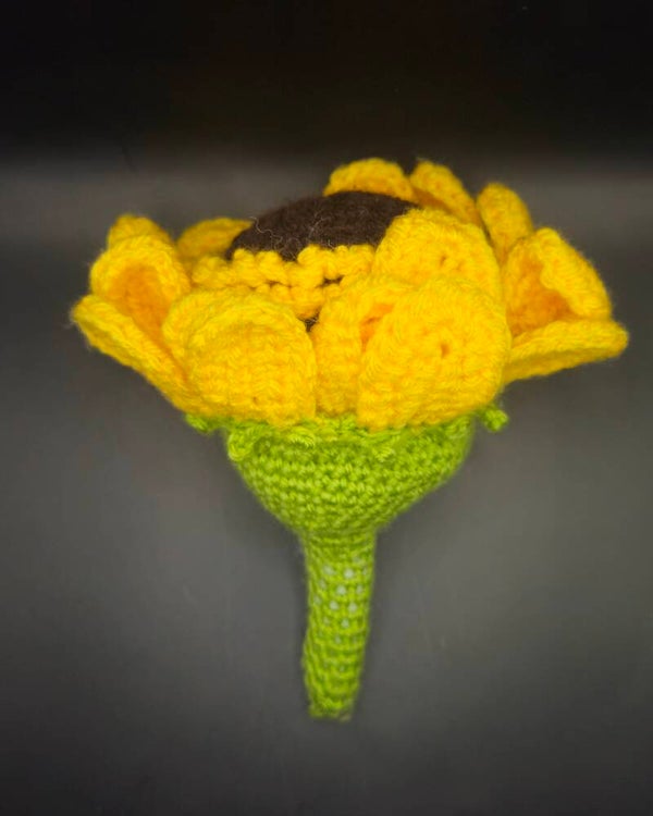 Sonnenblume