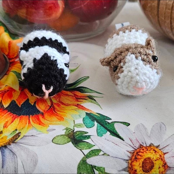 Meerschweinchen