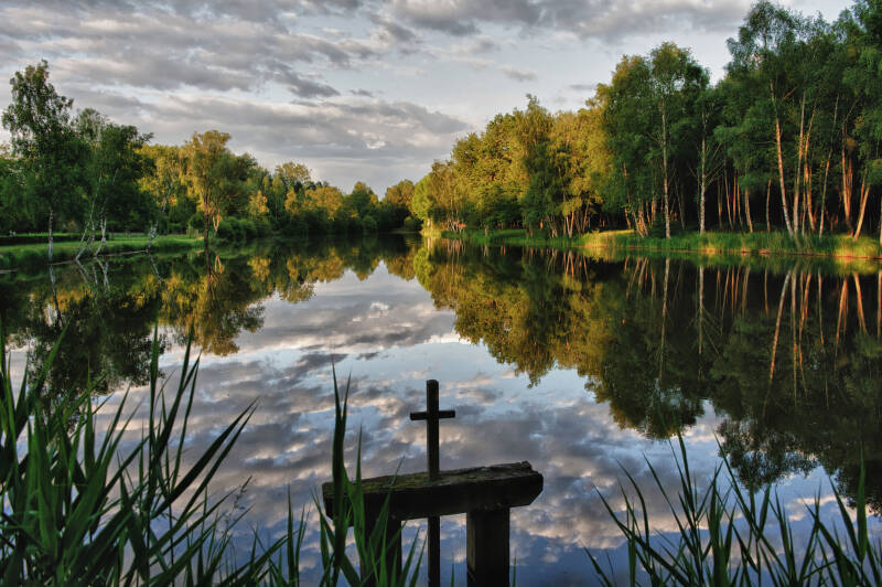 etang-la-fert-335frankmstudio_photos-standard.jpg
