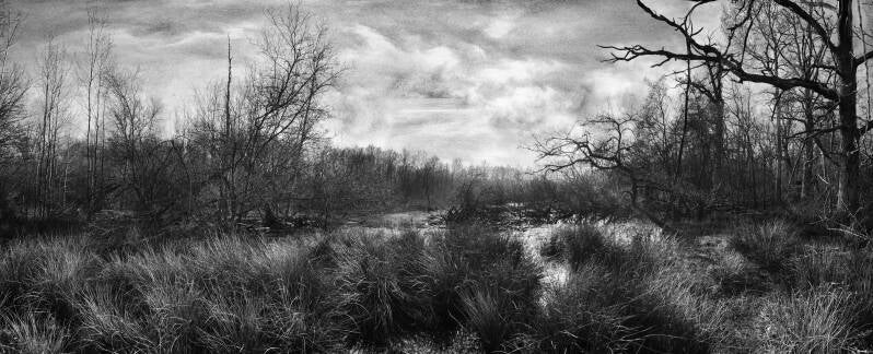 panorama-sans-titre2frankmstudio_photos-standard.jpg