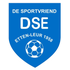 VV DSE Webshop