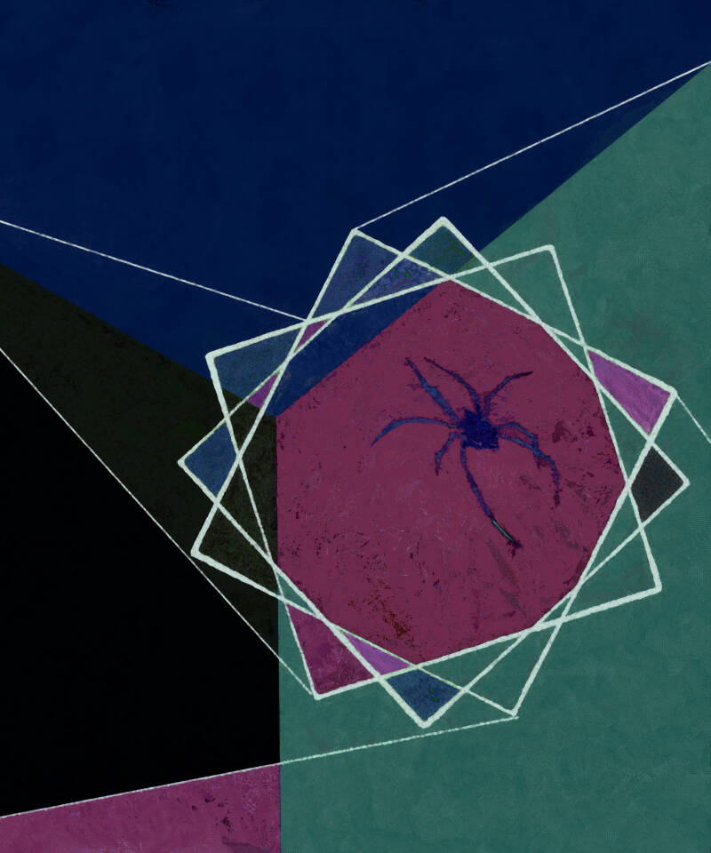 The blue spider in the corner of my room