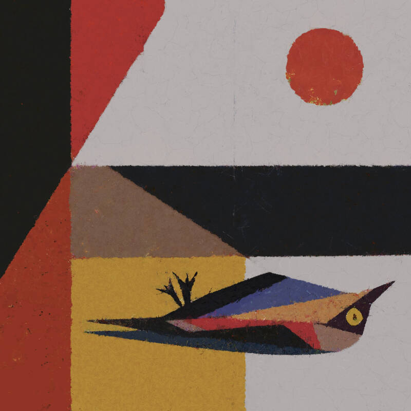 Dead bird under orange sun