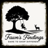 Fawn's Findings