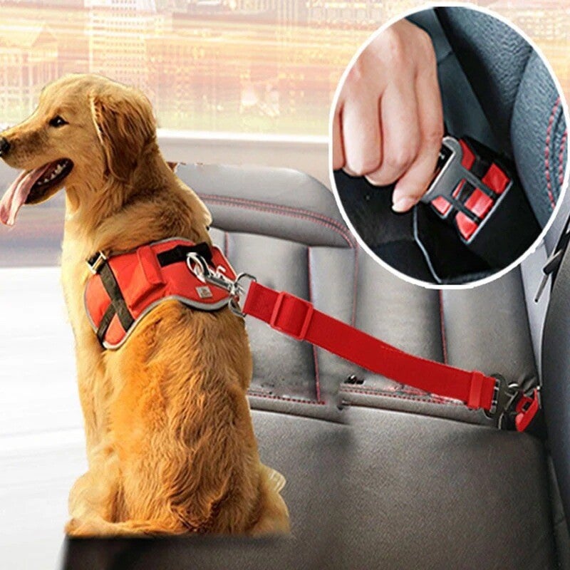 Ceinture de sécurité pour chien et chat — Voyage serein, animal protégé