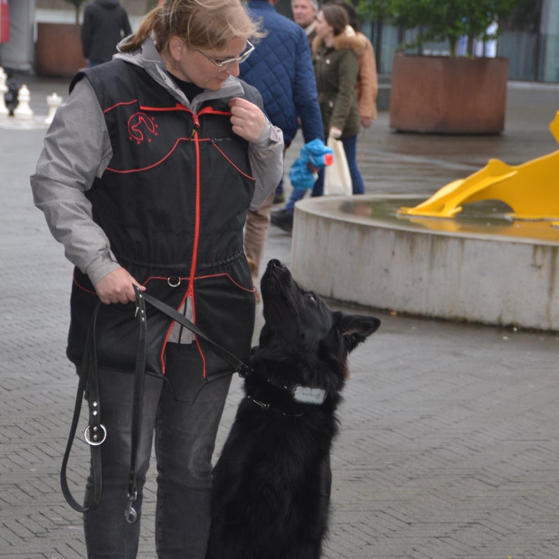 dsc_4507-kopie-kopie-standard.jpg