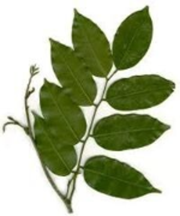 BALSAM PERU