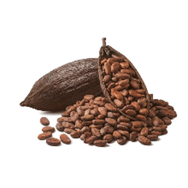 Cacao