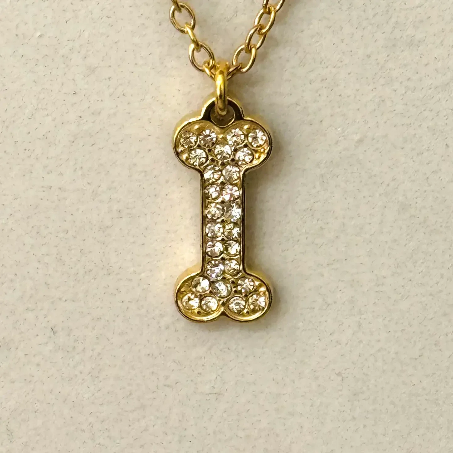 Ketting met hondenbot