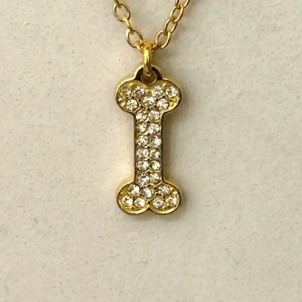 Ketting met hondenbot