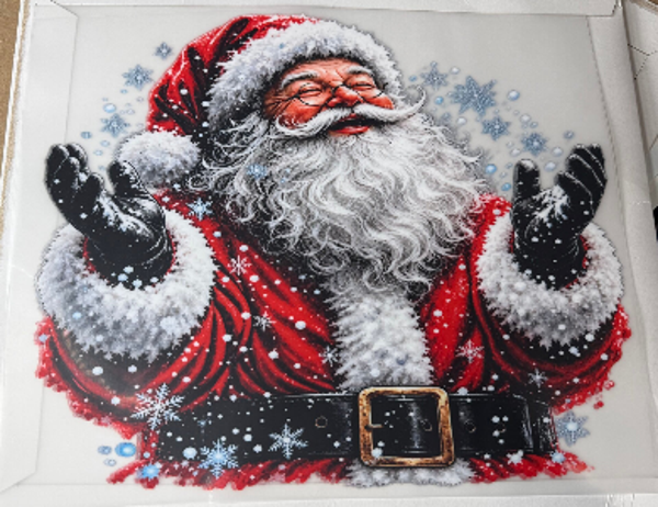 ADULT APPAREL - SANTA