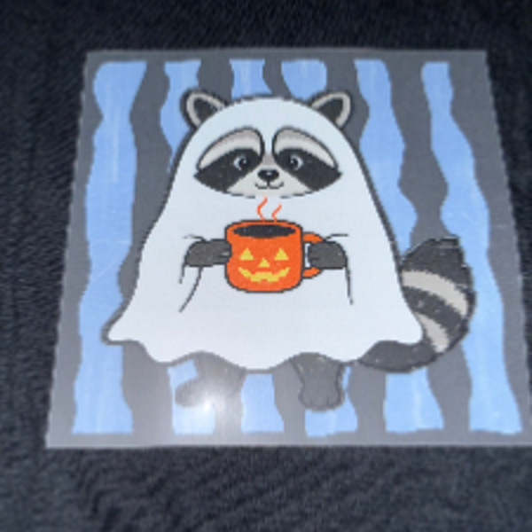 Kids Apparel - Ghost Raccoon Transfer