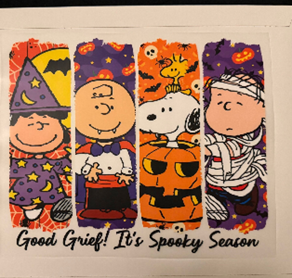ADULT APPAREL - CHARLIE BROWN