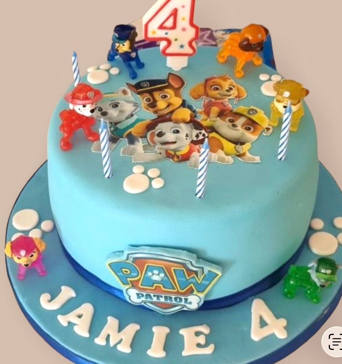 Paw patrol