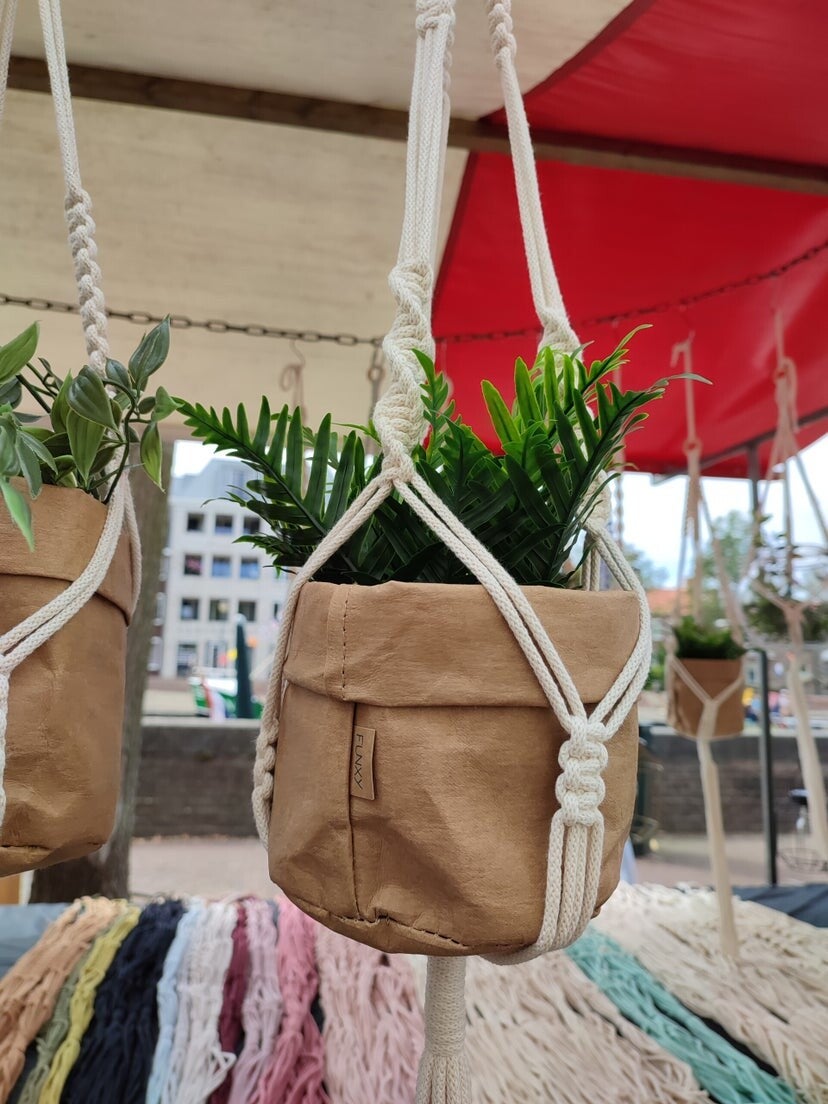 Workshop planthanger