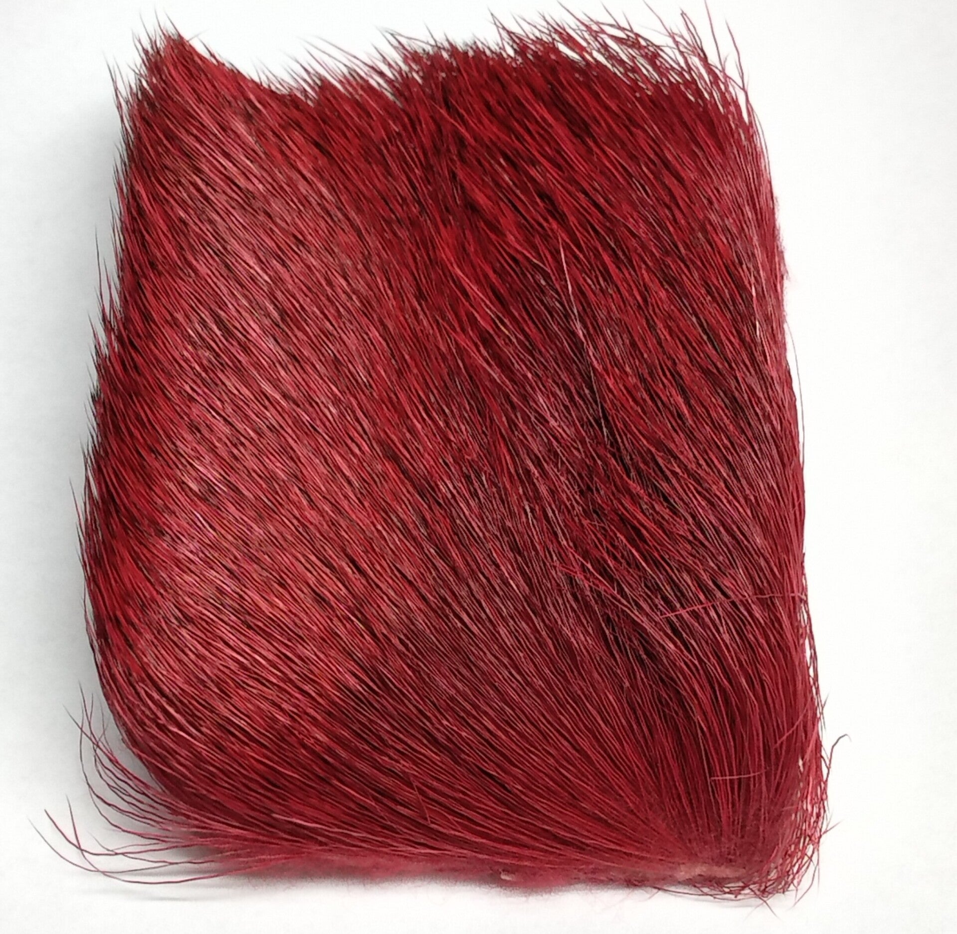 elk hair red