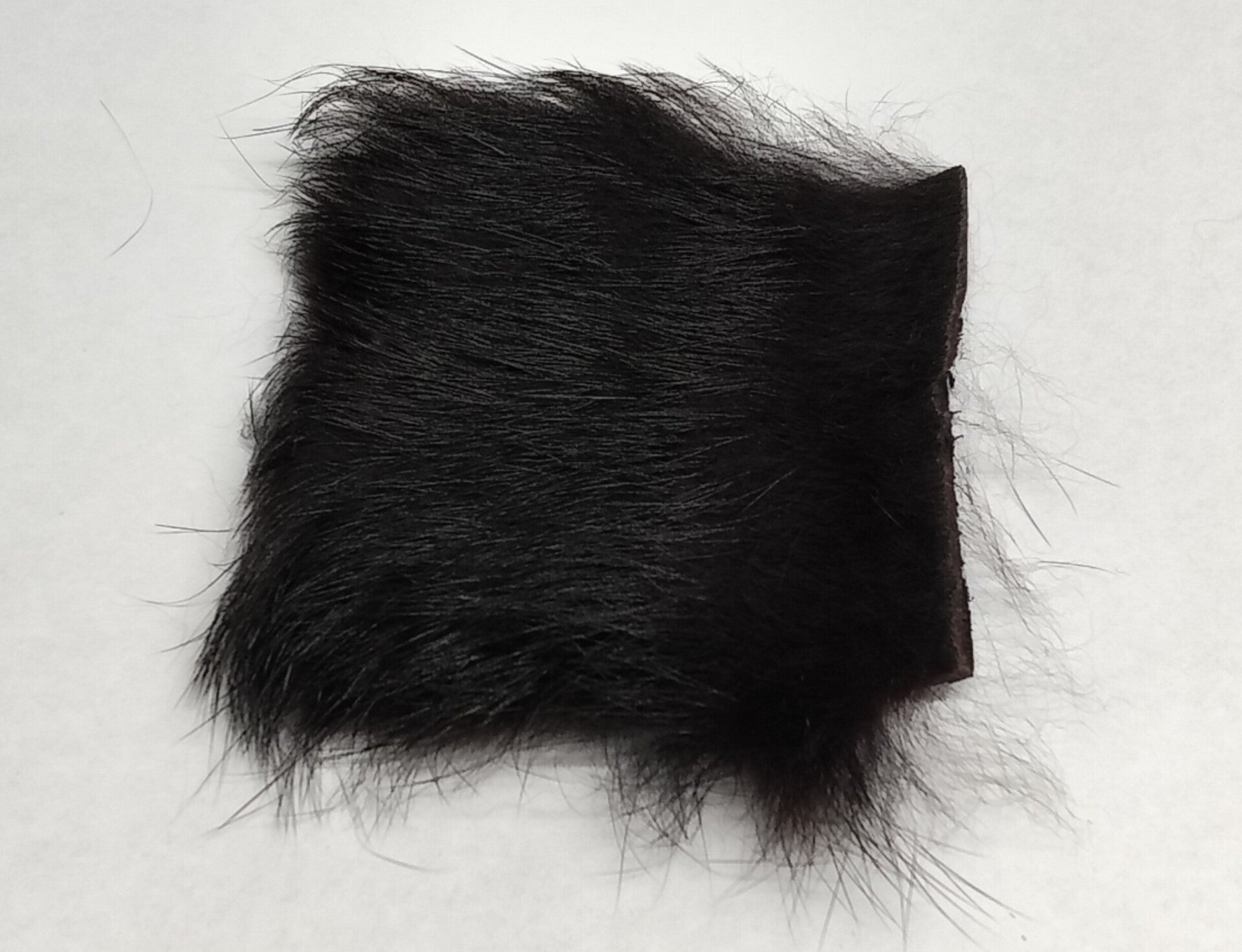 rabbit fur black