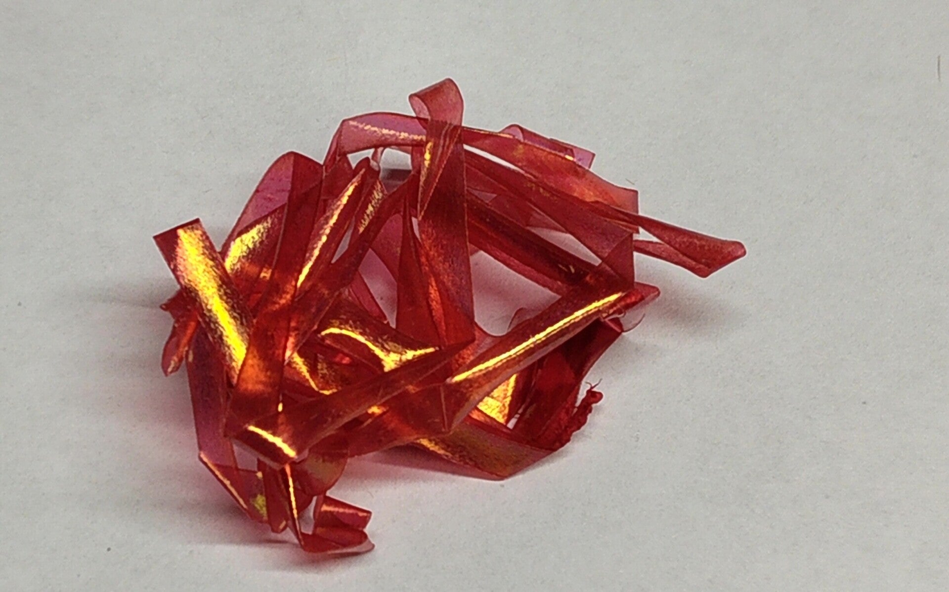 shellback red
