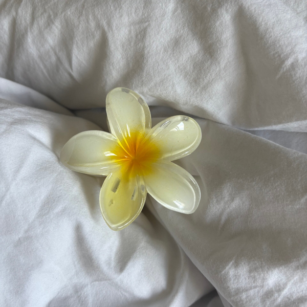 Pince cheveux "Miami"