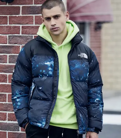Campera The North Face
