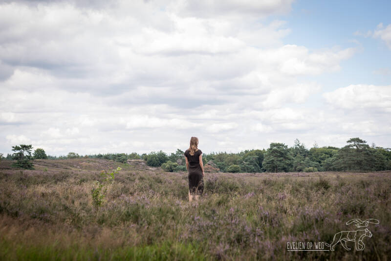 Wandelcoaching en portretfotografie in de natuur bij Arnhem