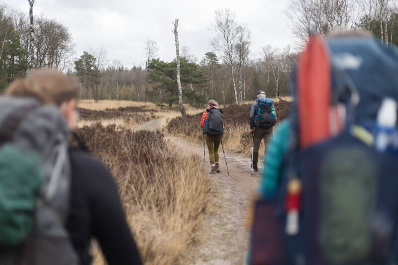 hikershouse-vroege-voorjaarshike-2025-86-standard.jpg
