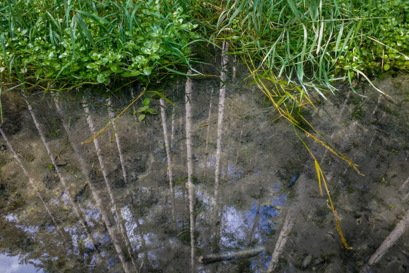Nederlandse natuur vastgelegd tijdens lange wandeltocht