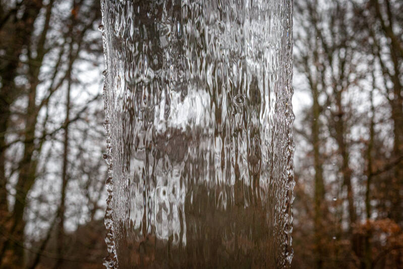 Natuurfotografie rondom Arnhem