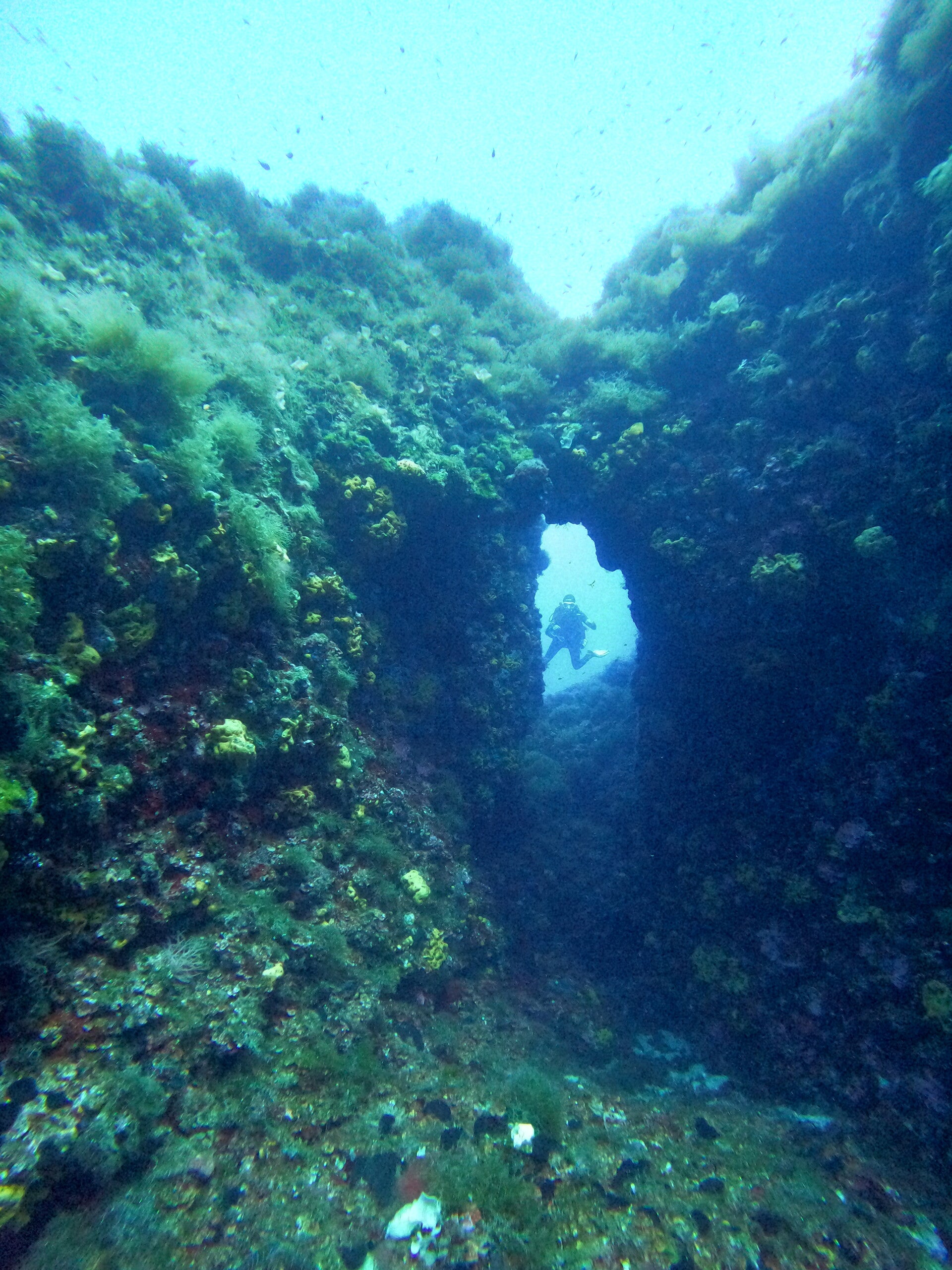 gopr7247_1721674576911_2-standard.jpg