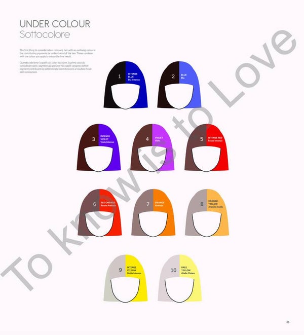 Hair Colour Chemistry
