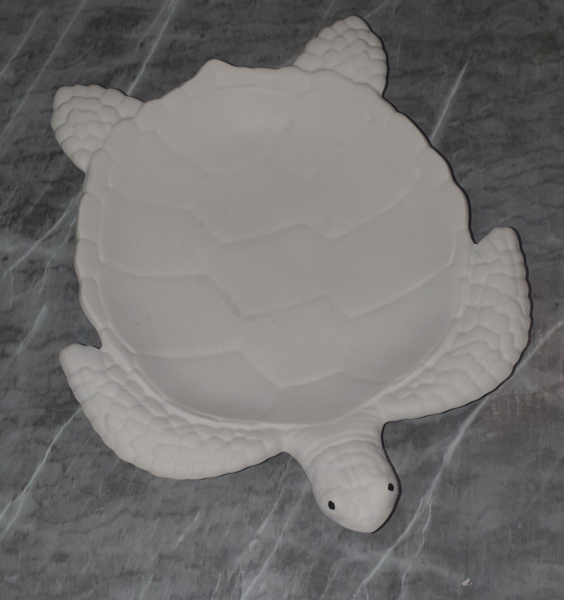 Schildkröte Schale