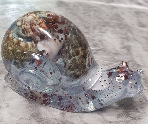 Schnecke mit Muscheln