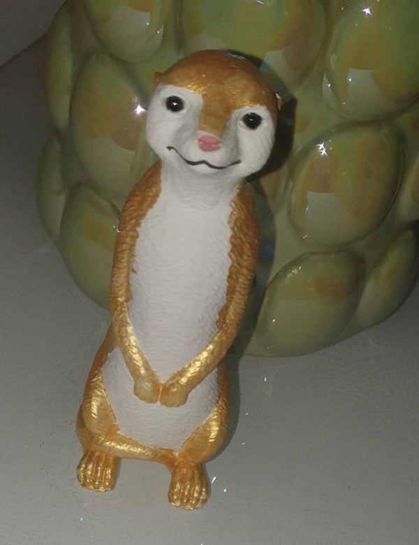 Erdmännchen