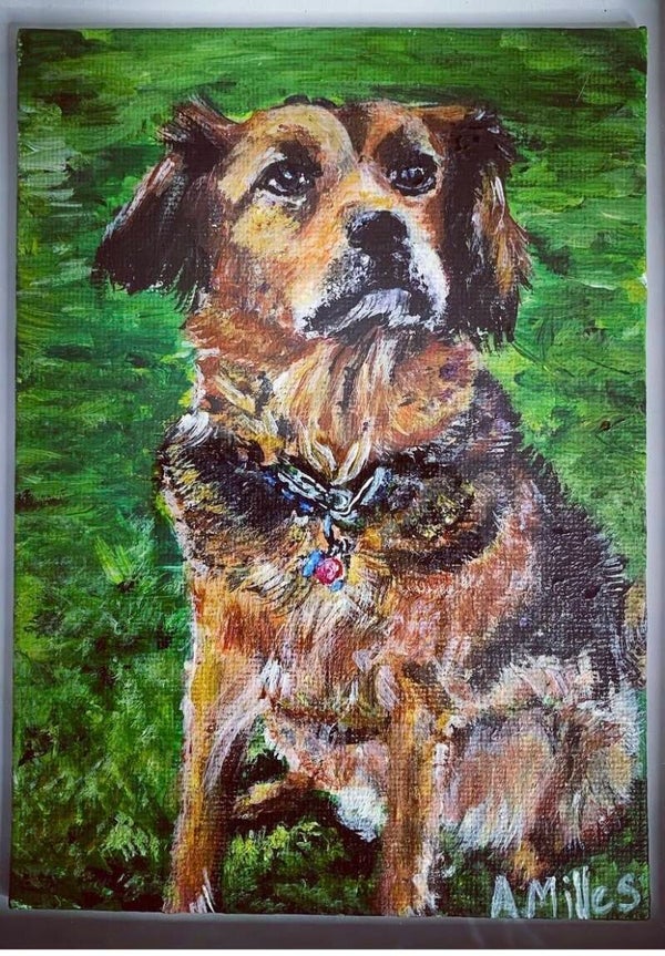 Paint your pet workshop