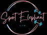 Sport Elephant