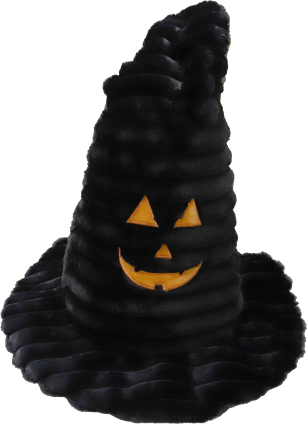 Halloween Hoed 65 cm